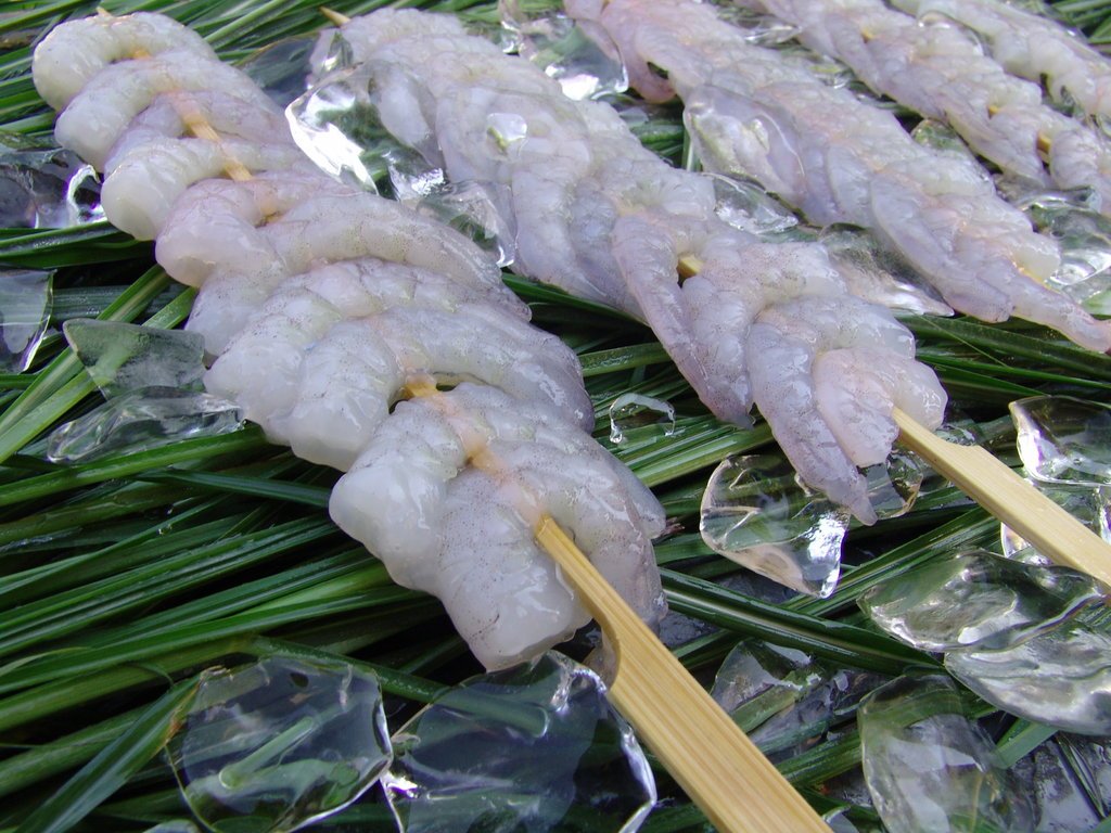 Vannamei Shrimp PD Skewered