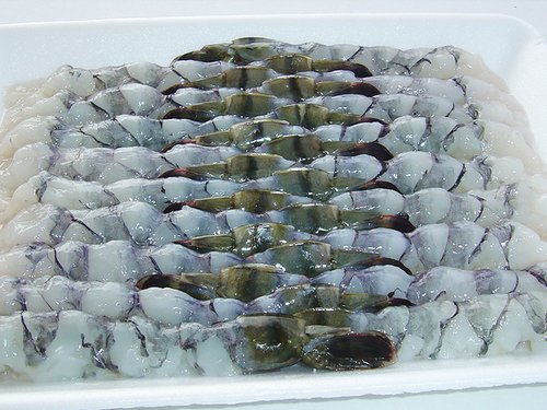 Black Tiger Shrimp Nobashi