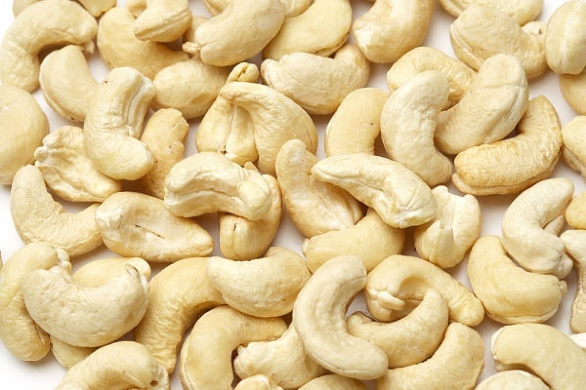 Cashew Nuts for Milk