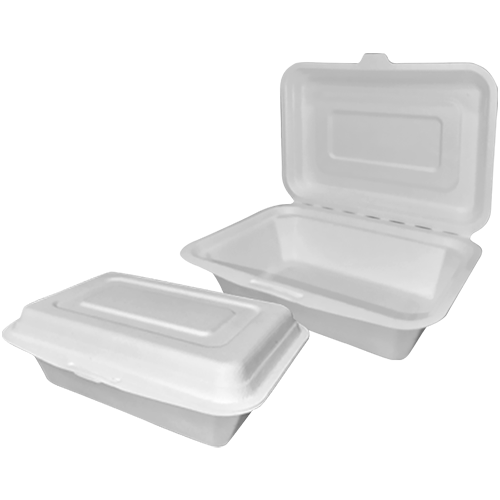 Bagasse Box (14oz)