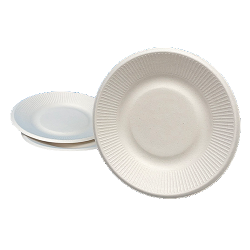 bagasse plate (L size)