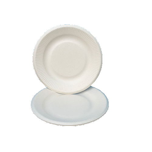bagasse plate (M size)