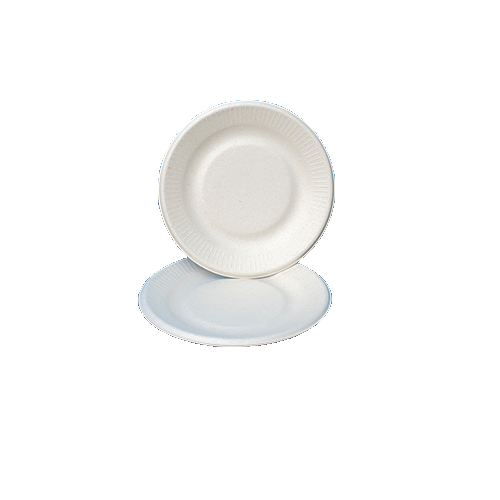 bagasse plate (S size)