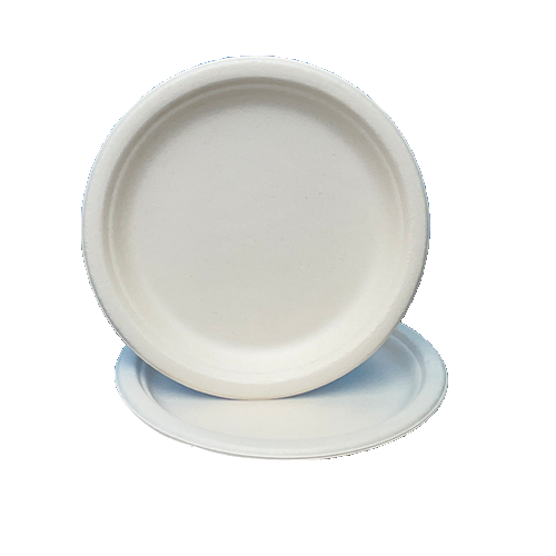 bagasse plate (XL size)