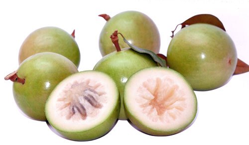Star Apple